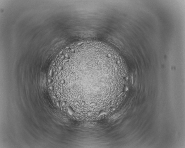 X0000072941251200608111552