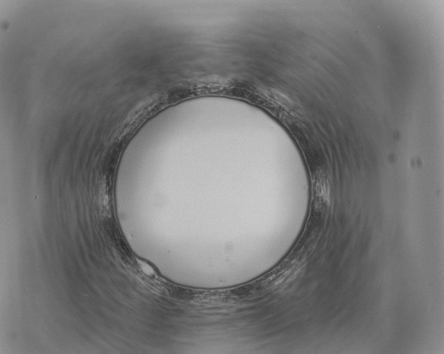 X0000072941252200608111552