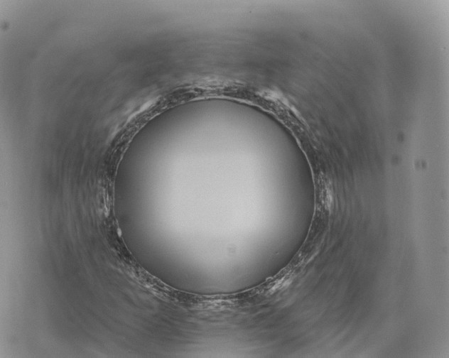 X0000072941253200608111552