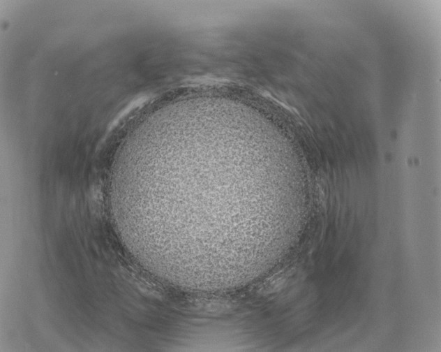 X0000072941254200608111552