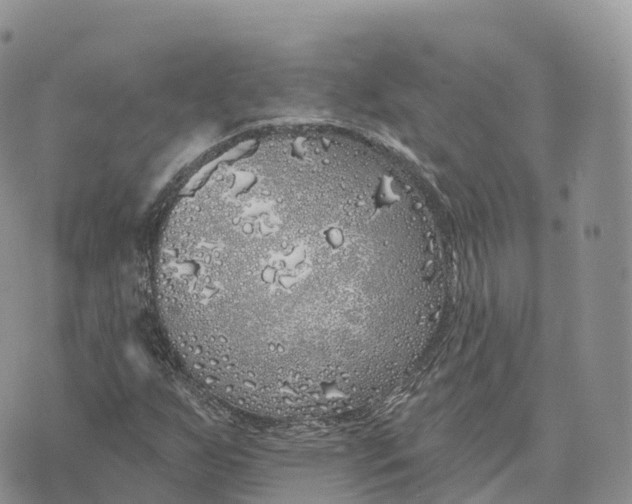 X0000072941255200608111551