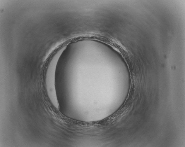 X0000072941256200608111551