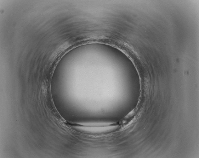 X0000072941257200608111551