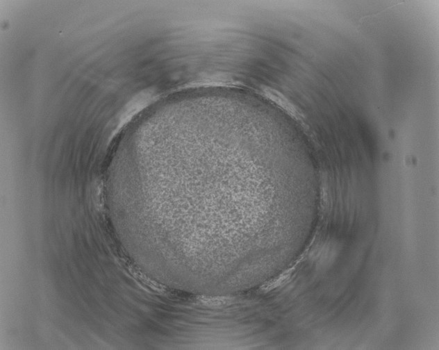 X0000072941258200608111551