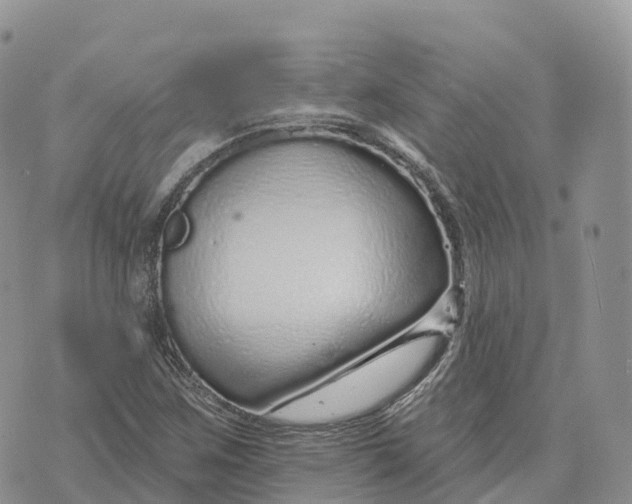 X0000072941259200608111551