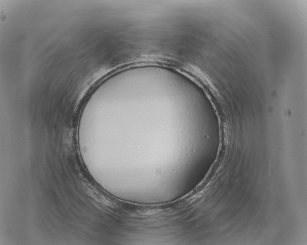 X0000072941260200608111551