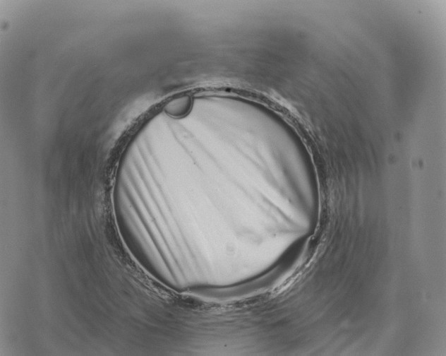 X0000072941263200608111551