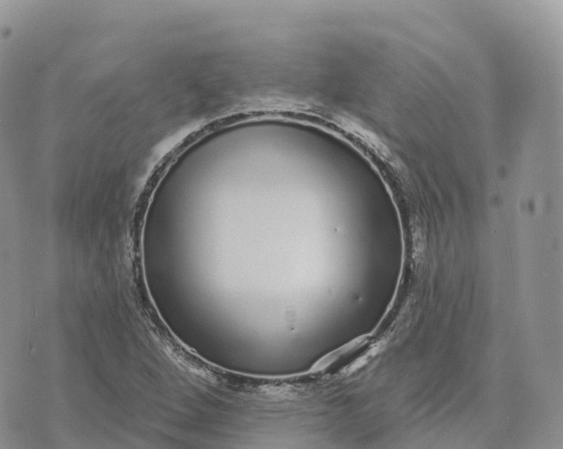 X0000072941264200608111551