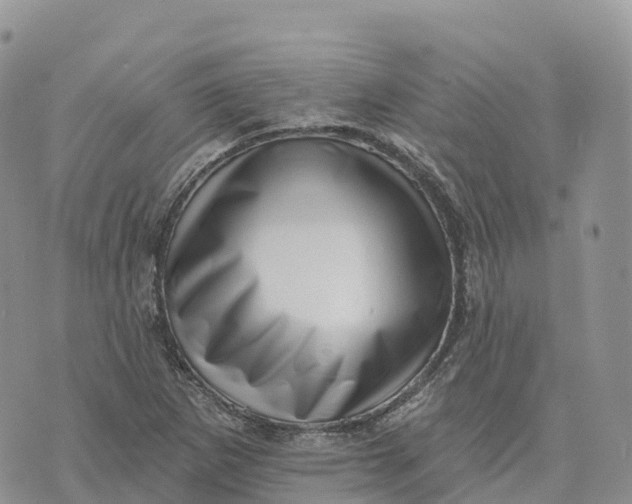 X0000072941265200608111551