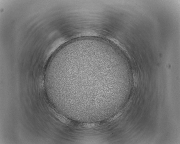 X0000072941266200608111551