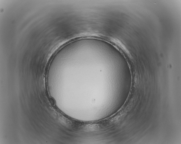 X0000072941268200608111551