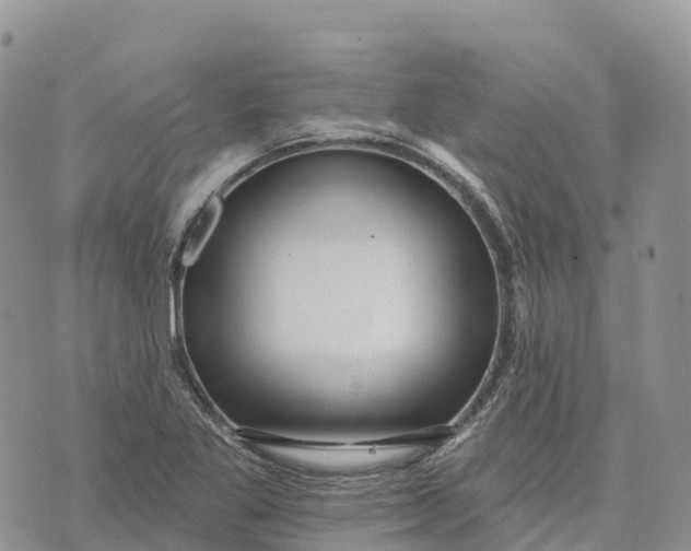 X0000072941269200608111551