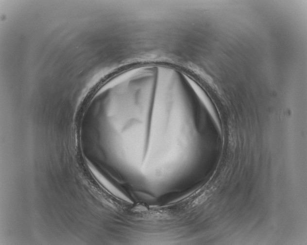 X0000072941270200608111551