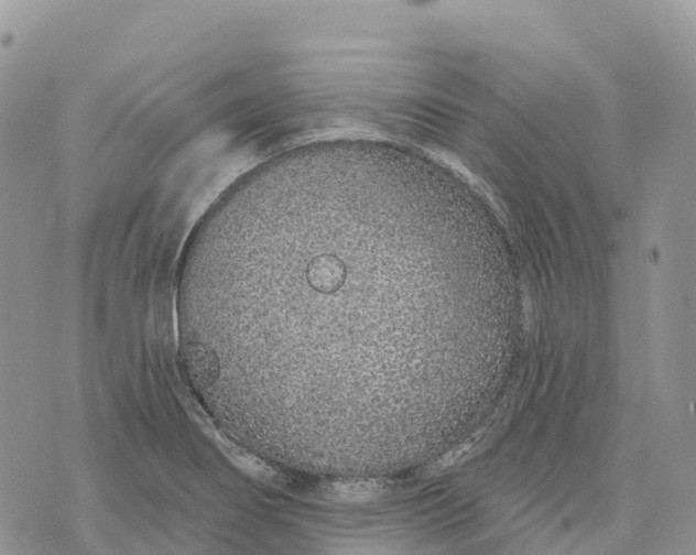 X0000072941274200608111551