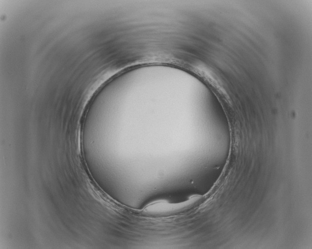 X0000072941276200608111551