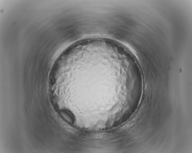 X0000072941279200608111551