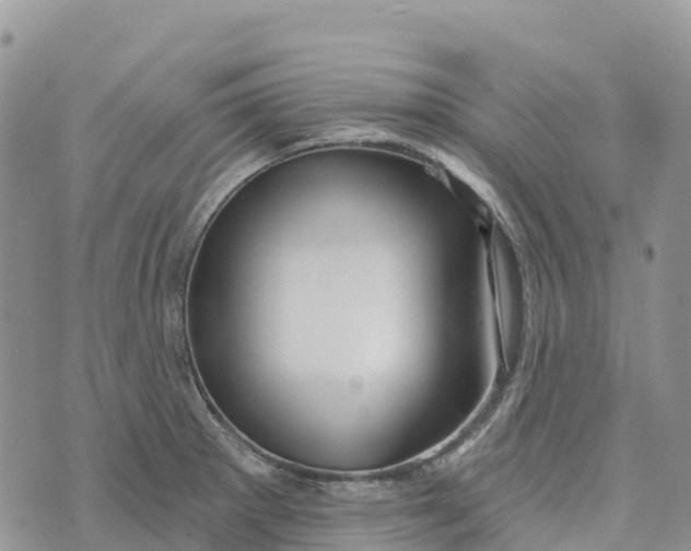 X0000072941281200608111551