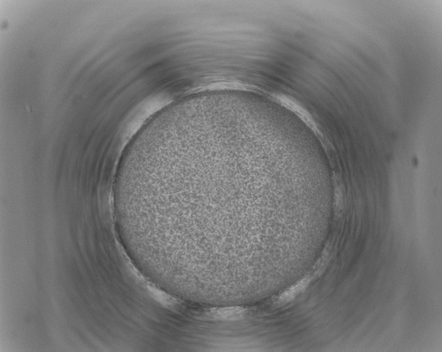 X0000072941282200608111551