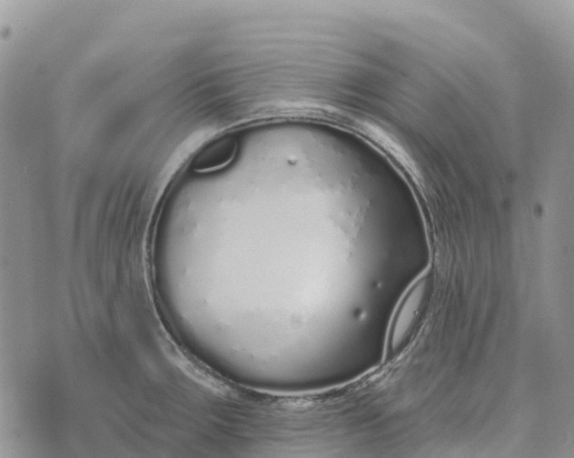 X0000072941283200608111551