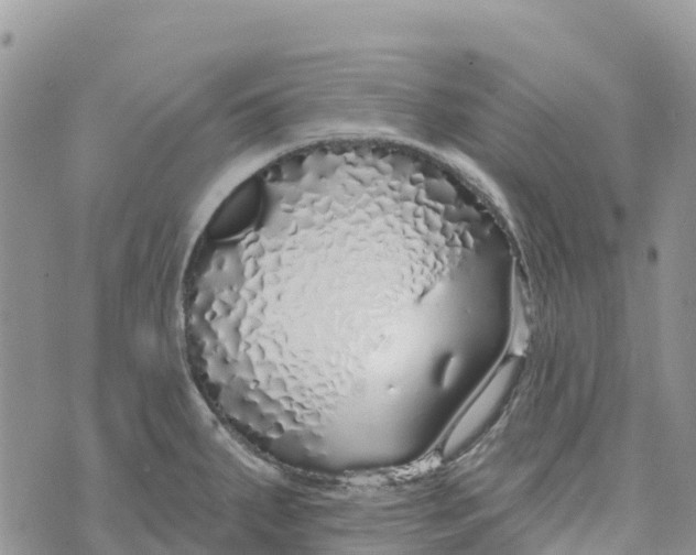 X0000072941287200608111551