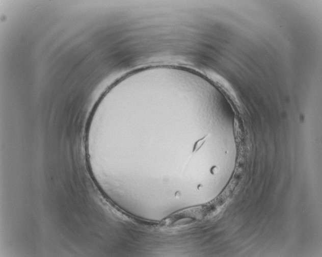 X0000072941288200608111551