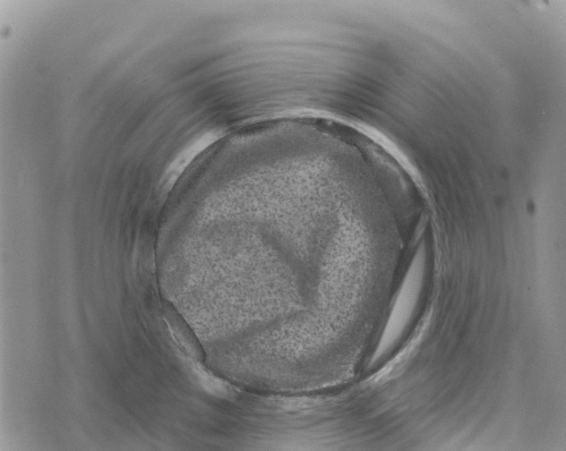 X0000072941289200608111551