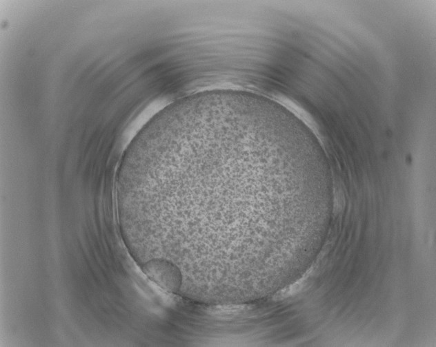 X0000072941290200608111551