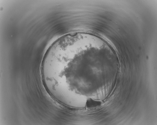 X0000072941291200608111551