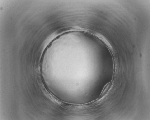 X0000072941292200608111551