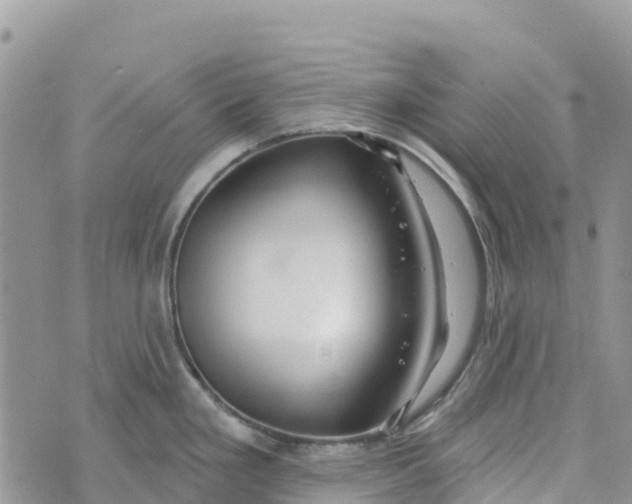 X0000072941293200608111551