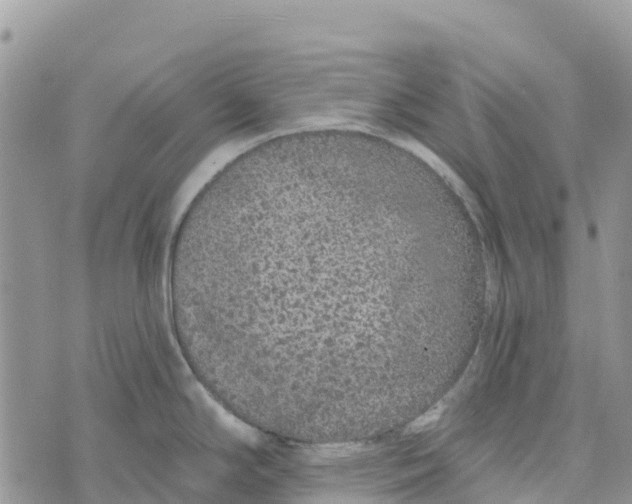 X0000072941294200608111551