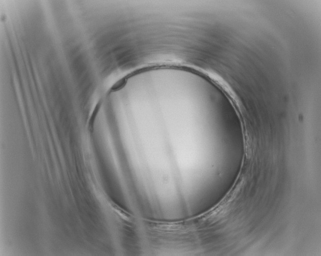 X0000072941295200608111551