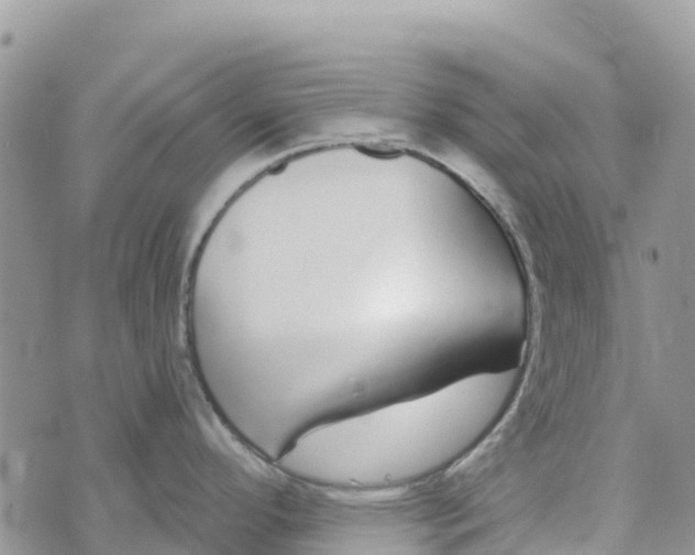 X0000072941296200608111551