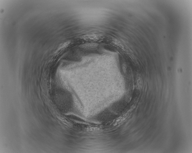 X0000072941297200608111550