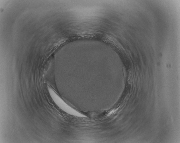 X0000072941298200608111550