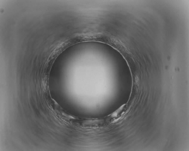 X0000072941300200608111550