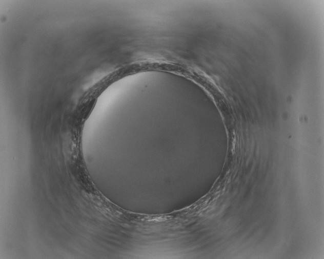 X0000072941303200608111550