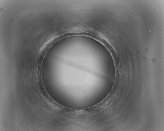 X0000072941304200608111550