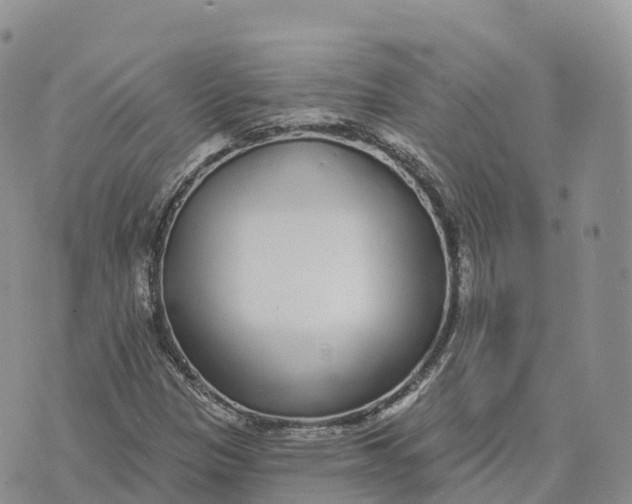 X0000072941305200608111550