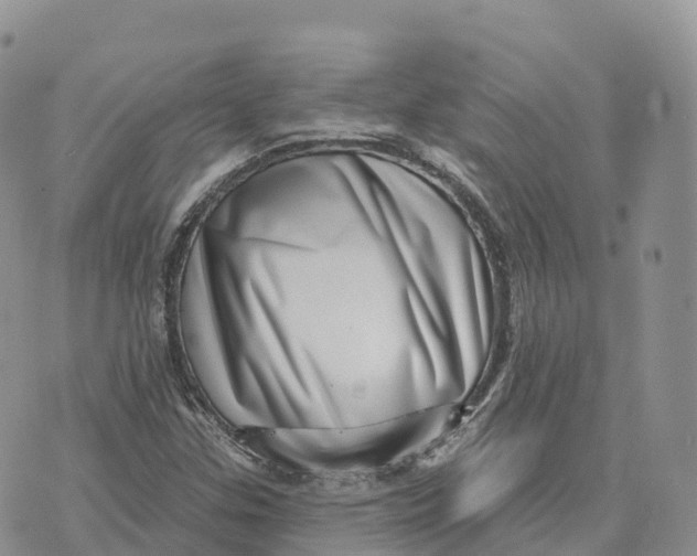 X0000072941307200608111550