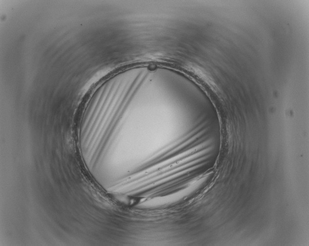 X0000072941308200608111550