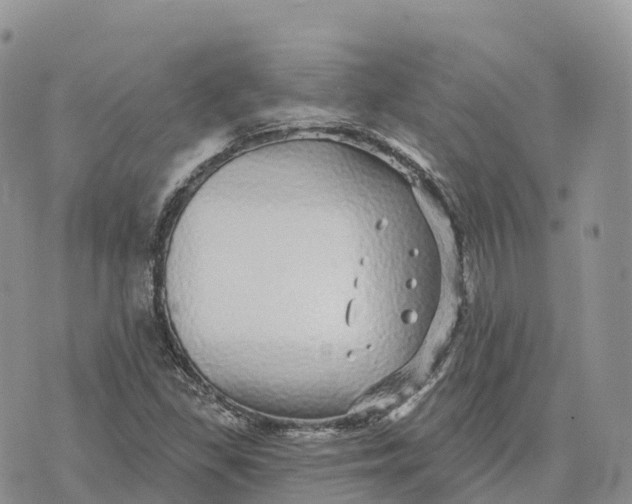 X0000072941309200608111550