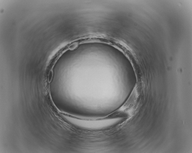 X0000072941310200608111550