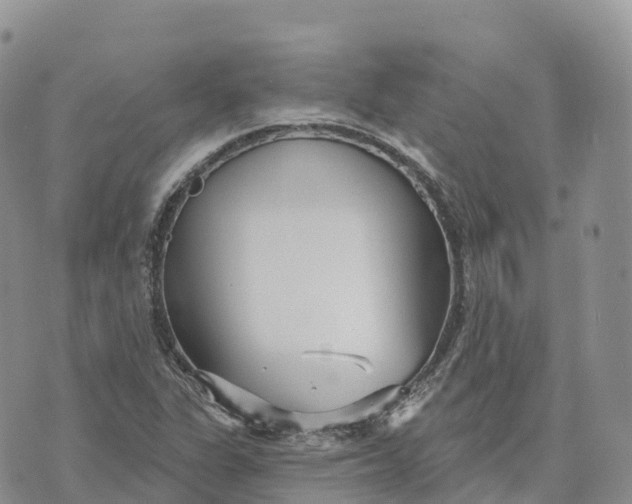 X0000072941311200608111550