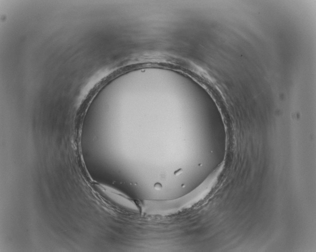 X0000072941312200608111550