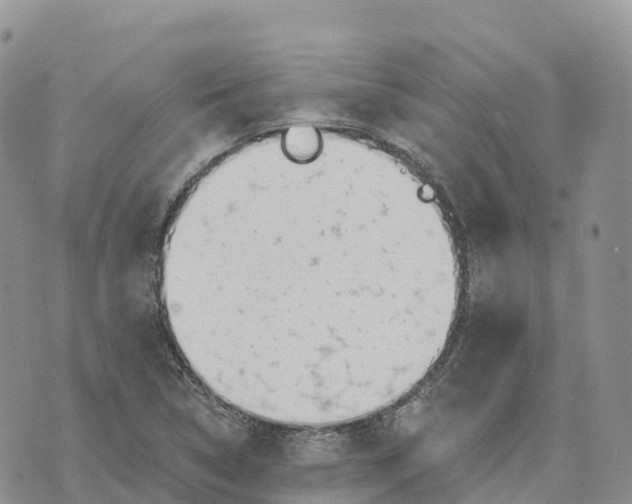 X0000072941314200608111550