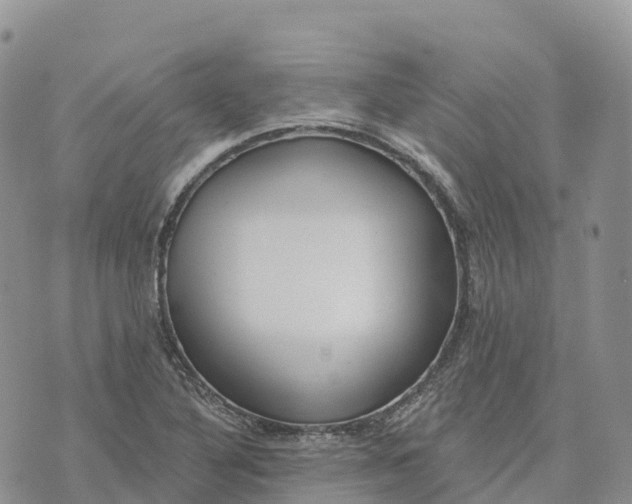 X0000072941316200608111550