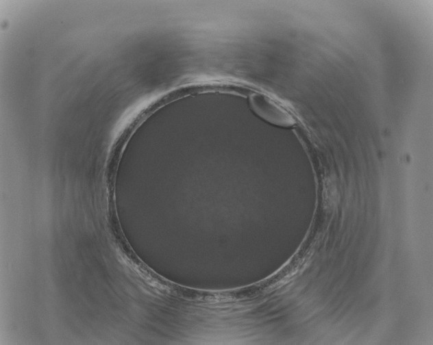 X0000072941319200608111550