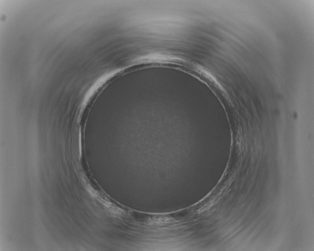 X0000072941323200608111550