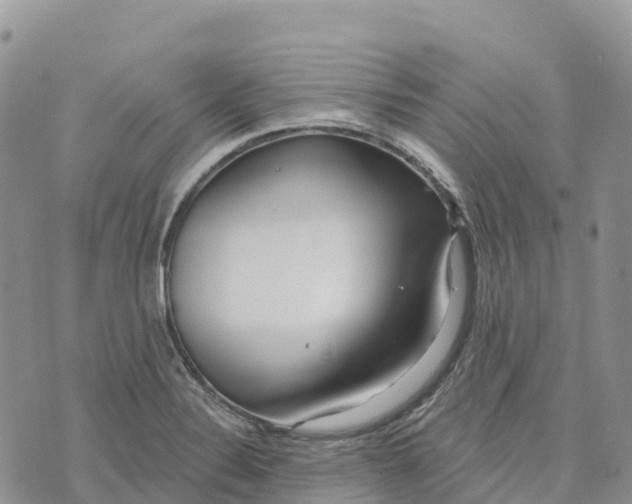 X0000072941324200608111550